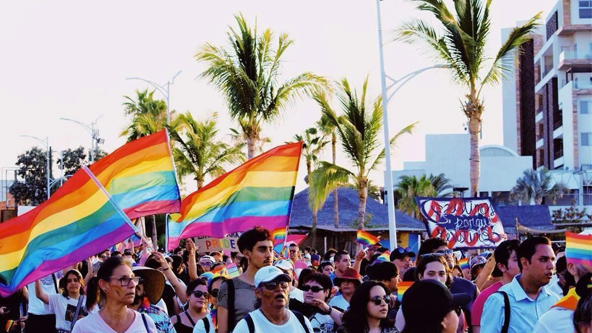 La paz es diversa